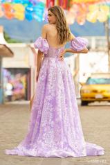 55423 Lilac/Silver back