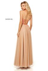 52662 Nude/Coral back