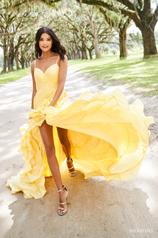 52834 Yellow front