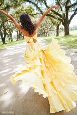 52834 Yellow back