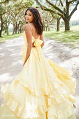 52834 Yellow back