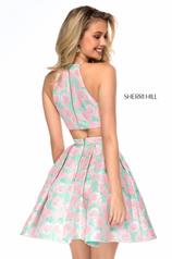 S51828 Green/Pink back