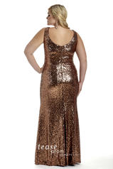TE1611 Copper back