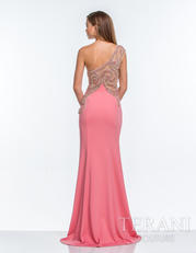 151P0064 Coral back