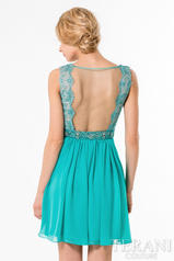 1521H0041 Turquoise back