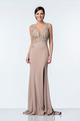 1521E0396 Taupe front