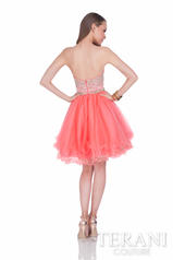 1611P0135 Coral back