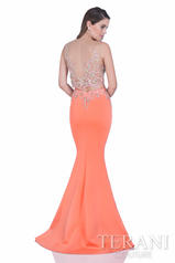 1611P1011 Coral back