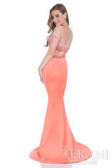 1611P1354 Coral Nude back