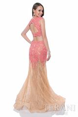1612P1042 Coral Nude back
