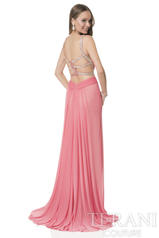 1615P1313 Coral back