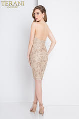 1721C4001 Champagne/Nude back