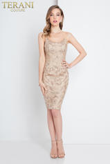 1721C4001 Champagne/Nude front