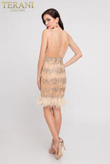 1811P5009 Champagne/Nude back