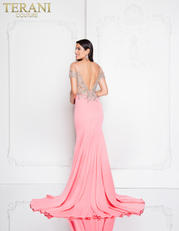 1812P5362 Coral back