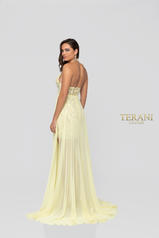 1913P8314 Yellow Nude back