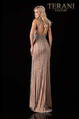 2111GL5062 Silver Nude back