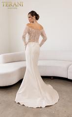 241M2734 Champagne Nude back