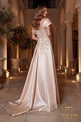 262M7258 Champagne back