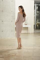 72548 Taupe back