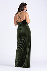9308-Lizzie �Olive back